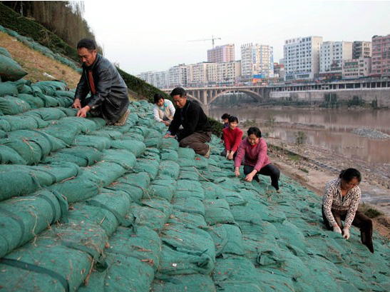 重慶河道綠化生態(tài)袋