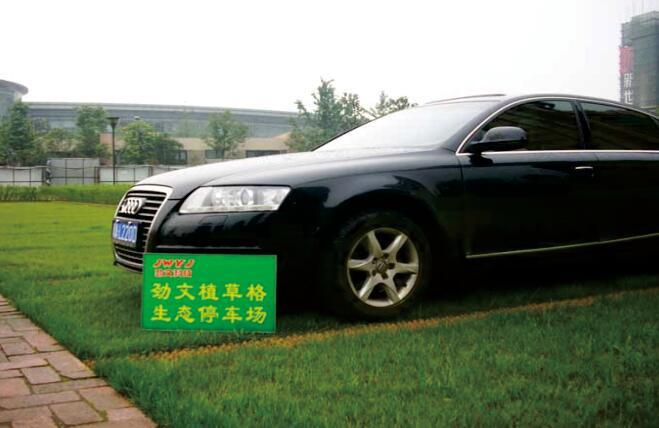 停車場(chǎng)植草格